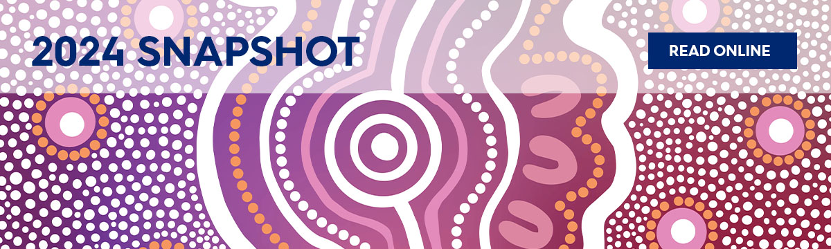 Snapshot 2024 page banner 1200x360